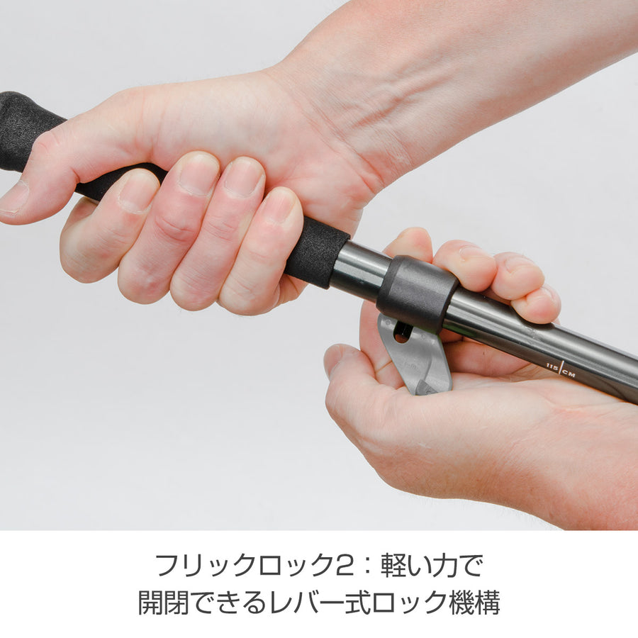 ディスタンスFLZ 105-125cm BD82356105